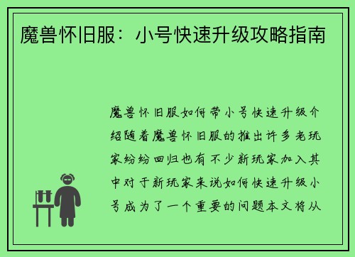 魔兽怀旧服：小号快速升级攻略指南